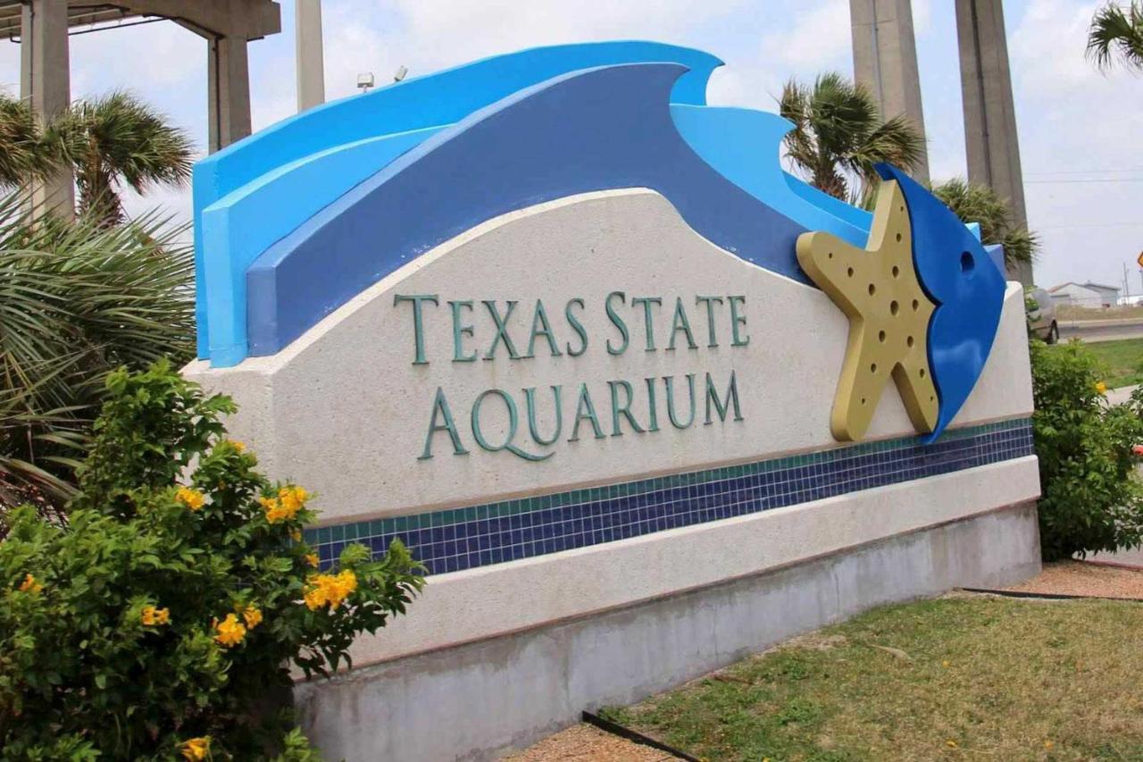 Corpus Christi Condo With Pool Access, Walk To Beach Luaran gambar